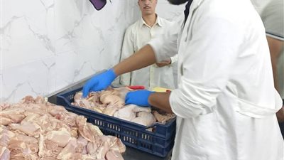 الزراعة: ضبط أكثر من 270 طن لحوم فاسدة وتحرير 981 محضرًا خلال سبتمبر 