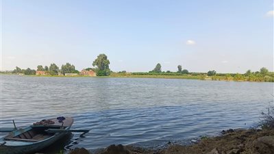 مستشار وزير الري الأسبق: جزر بني سويف مهددة بالغرق بعد ارتفاع منسوب النيل