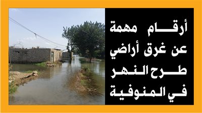 أرقام مهمة عن غرق أراضي طرح النهر في المنوفية (إنفوجراف) 