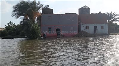 سيدات بعزبة التاج القبلية بأشمون يستخدمن مياه الفيضان في غسل الأواني (فيديو)