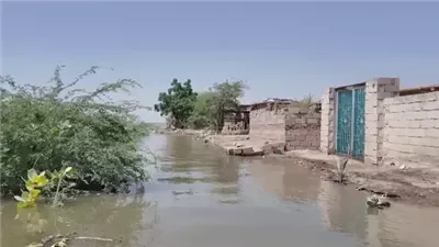  أخبار مصر اليوم: الخريطة الصنفية لمحصول القمح بالموسم الجديد..الري: السد العالي الضمانة الأساسية لحماية مصر من تقلبات النيل والفيضانات.. خبير يكشف المناطق الأكثر عرضة للغرق 