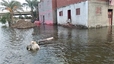 بعد أشمون، تحذير عاجل لـ 3 قرى بمركز تلا في المنوفية بسبب ارتفاع منسوب النيل