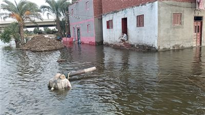 محافظ المنوفية: قافلة عاجلة لدعم الأسر المتضررة من فيضان النيل