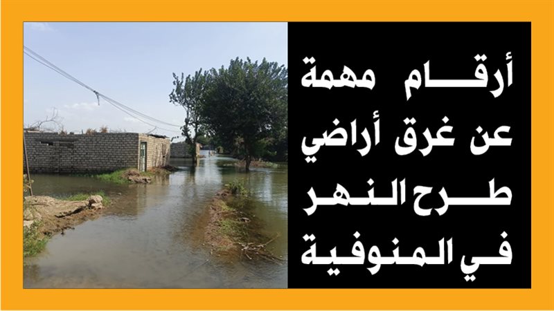 المنوفية