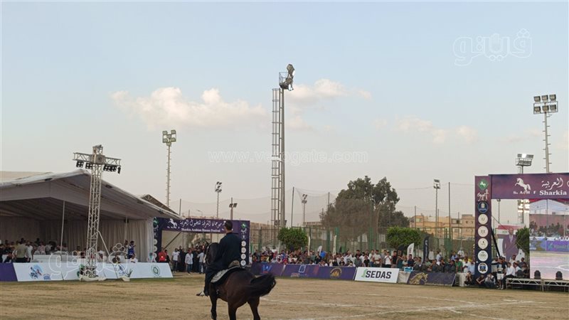 مهرجان الشرقية للخيول