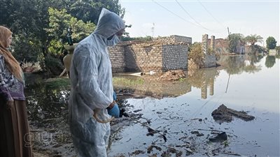 مديرة وحدة ناقلات الأمراض بأشمون: نتابع يرقات البعوض بالقرى ونتخذ إجراءات المكافحة (فيديو)