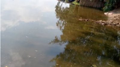  رئيس مدينة تلا يتابع مناسيب مياه النيل بفرع جنوب رشيد 