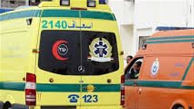 إصابة 5 أشخاص بينهم 4 أطفال في انقلاب سيارة بالوادي الجديد 