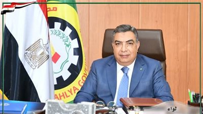 محافظ الدقهلية عن ذكرى نصر أكتوبر: نجدد العهد على مواصلة خدمة المواطنين 