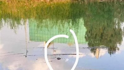 العثور على جثة مجهولة الهوية في مياه ترعة أمام مساكن السلام بطنطا