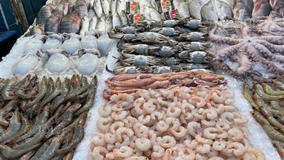 انخفاض ملحوظ في أسعار الأسماك بالأسواق.. البلطي يتراجع 20 جنيها.. الشعبة توضح أسباب الانخفاضات وتتوقع استمرارها مع بدء موسم الصيد