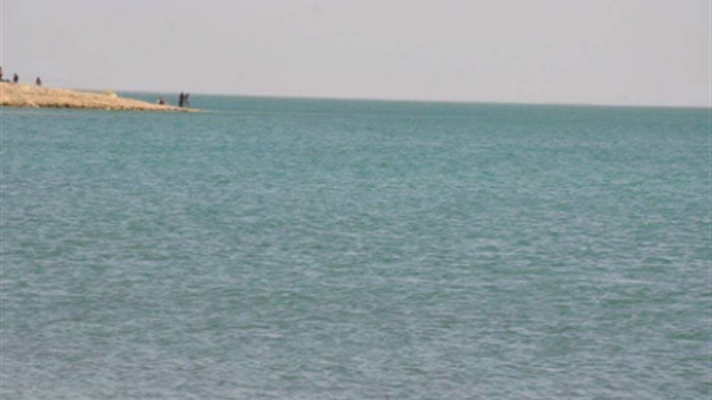 مفيش توشكى