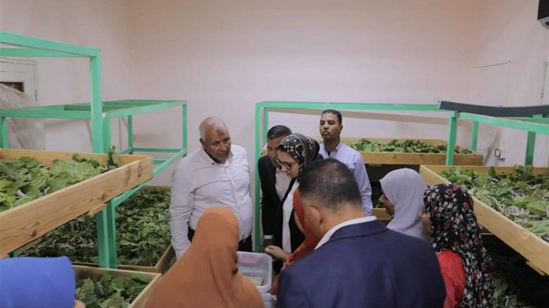 الوادي الجديد، ڤيتو