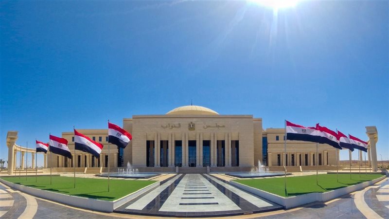 مجلس النواب، فيتو