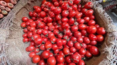 مع استمرار ارتفاعها في الأسواق، هل تصل أسعار الطماطم لـ 50 جنيهًا؟