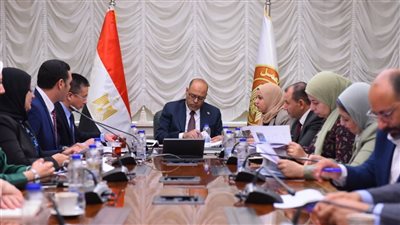 وزير العمل يبحث مع وفد هواوي مصر التحول الرقمي للخدمات المقدمة للمواطنين