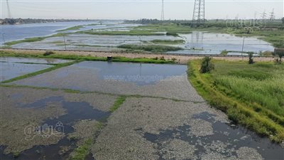 ارتفاع ملحوظ في منسوب مياه النيل في الأقصر (بث مباشر)