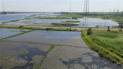 غرق جزئي لزراعات طرح النهر بعد ارتفاع طفيف لمنسوب مياه النيل بالأقصر (فيديو وصور)