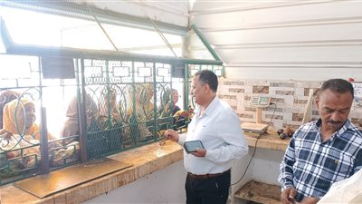 الطماطم بـ17.5، منافذ لبيع السلع بأسعار مخفضة في الوادي الجديد