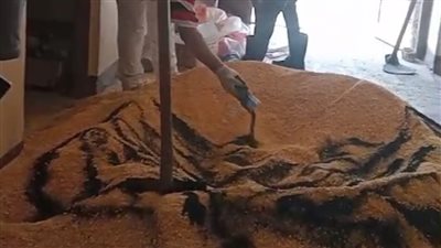 زراعة الفيوم تطلق حملة لمكافحة القوارض بمركز سنورس