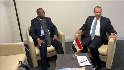 وزير الخارجية يلتقي المندوب الدائم لجنوب أفريقيا لدى اليونسكو 