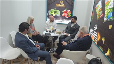 الفراولة المجمدة تتصدر صادرات السلع الغذائية في 2025 بنصف مليار دولار