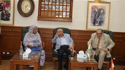 جاهزون لمد يد العون، نقيب المهندسين يؤكد الاستعداد لدعم السودان في إعادة بناء البنية التحتية