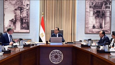 رئيس الوزراء يلتقي وزير البترول، لهذا السبب 