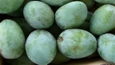 تفسير رؤيا المانجو الخضراء في المنام وعلاقتها بالتخلص من الهموم والكرب 