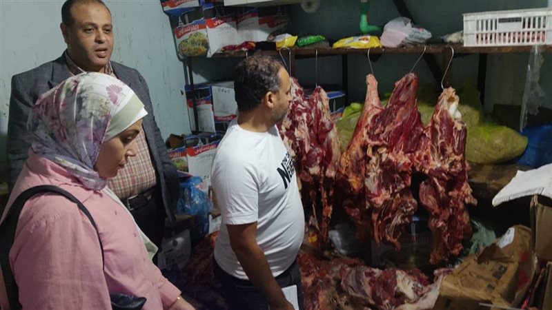 الاسكندريه 