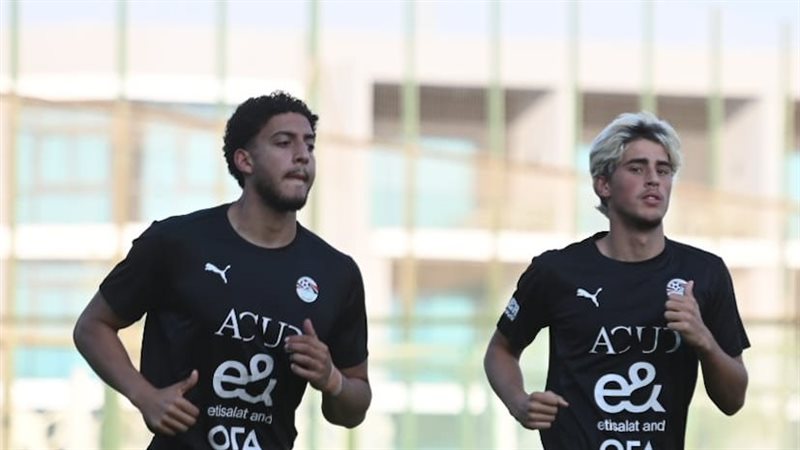 الثنائي المحترف بمنتخب