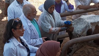 محافظ الفيوم: تحصين 101 ألف رأس من الحمى خلال سبتمبر