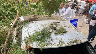 تهشم سيارة سيد نيمار بسبب سقوط شجرة خلال مشاركته في مران البنك الأهلي