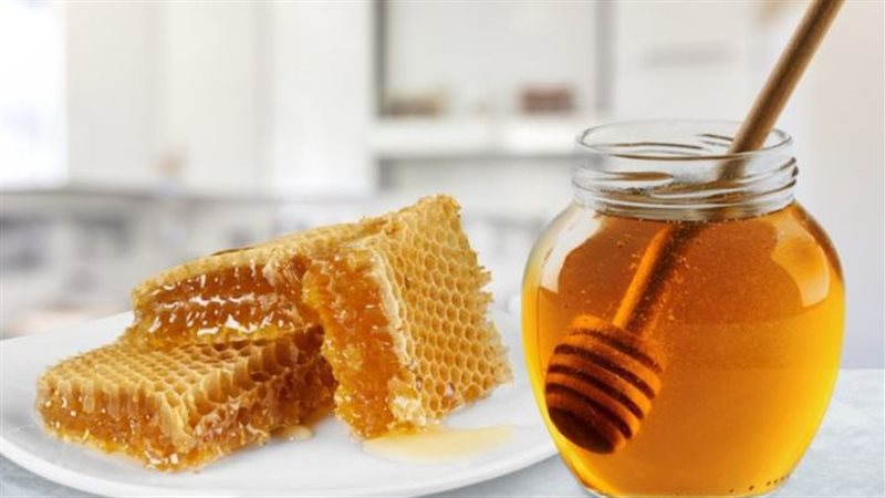 عسل النحل