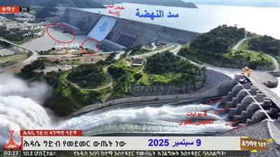 شراقي: إثيوبيا أغلقت بوابات سد النهضة والسد العالي يستقبل المياه بكفاءة