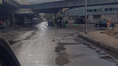 سقوط أمطار على وسط وغرب الإسكندرية (صور)