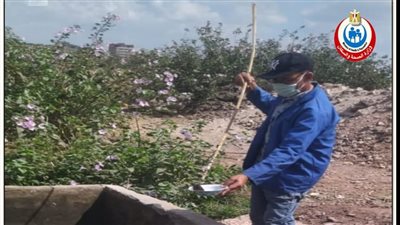 صحة الشرقية تكثف جهودها في مكافحة الذباب والبعوض 