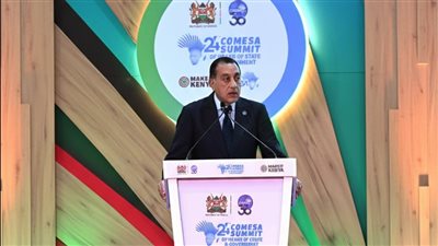 الحكومة تكشف أهمية المنصات الإلكترونية المشتركة للكوميسا 