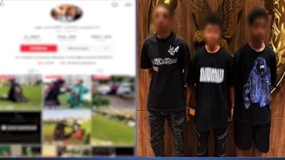 الداخلية تكشف حقيقة ادعاء صانعة محتوى بالقبض على نجلها دون وجه حق بالنزهة