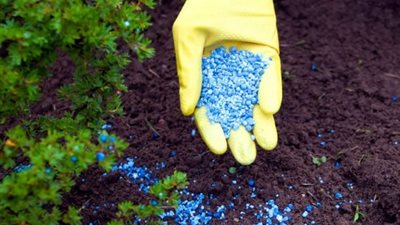 انخفاض النترات العادي 764 جنيها، أسعار الأسمدة اليوم في الأسواق 