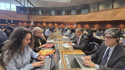 مصر في منظمة التجارة العالمية: نرفض تهميش الدول النامية