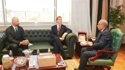 وزير الكهرباء: هدفنا التوسع في أنظمة تخزين الطاقة من المحطات الشمسية