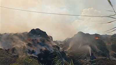 إخماد حريق شب في شونة بكفرالشيخ دون خسائر بشرية 