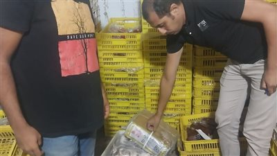 ضبط لحوم وكبدة منتهية الصلاحية داخل محل مشويات شهير بالإسكندرية