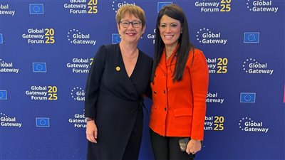 المشاط: قطعنا شوطا كبيرا في تعزيز استثمارات الطاقة المتجددة بالتعاون مع البنك الأوروبي 