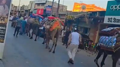 عمره 800 سنة، 