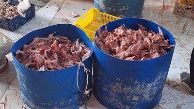 ضبط 5 أطنان مخلفات دواجن داخل مجزر غير مرخص بالغربية 