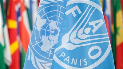 ممثل الفاو: نحتاج تريليون دولار لتحقيق أهداف التنمية المستدامة في قطاع المياه