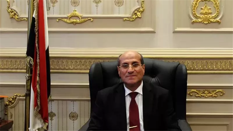 المستشار حسني عبد
