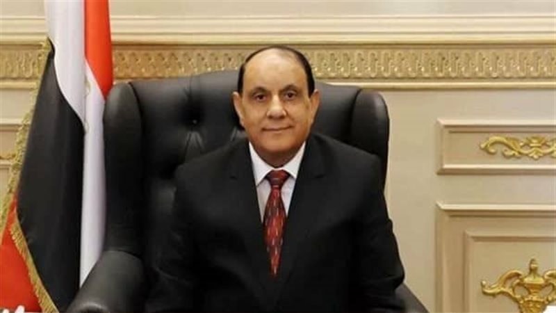 المستشار حسني عبد